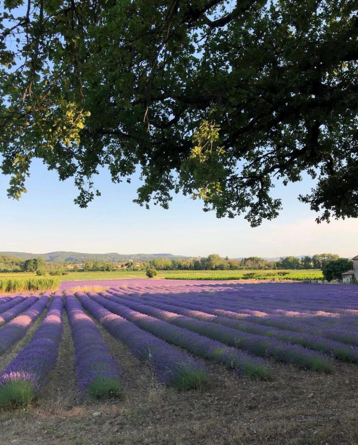 La Petite Plaine *